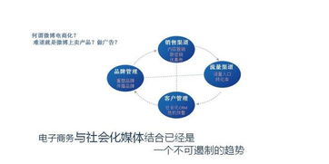 自助貿(mào)易網(wǎng)大數(shù)據(jù)